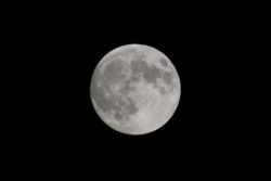 Full Moon Oct 16 2024 1.jpg