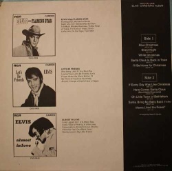Elvis back cover web.jpg